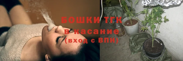 стаф Абаза