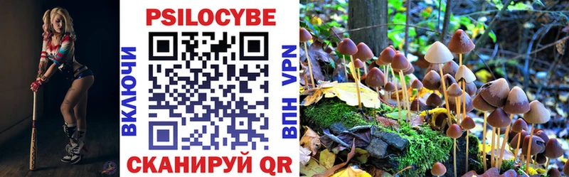 где купить наркоту  Сорск  Псилоцибиновые грибы Psilocybine cubensis 